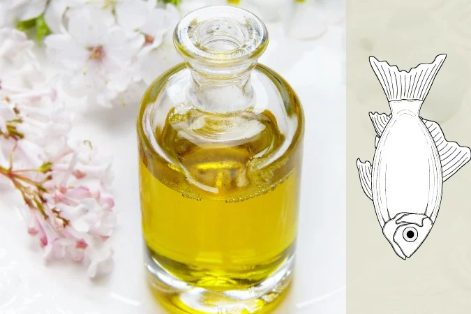 Huile de foie de morue : Le guide complet pour booster votre santé naturellement