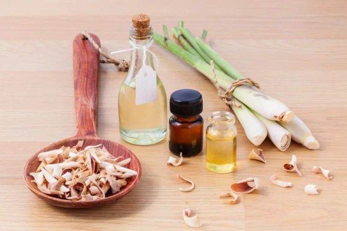 Huile essentielle citronnelle : éloigner les insectes et apaiser l'esprit