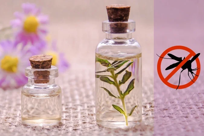Huile essentielle moustique: comment les utiliser pour éloigner les insectes
