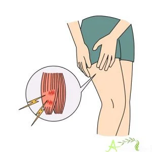 Récupération Musculaire