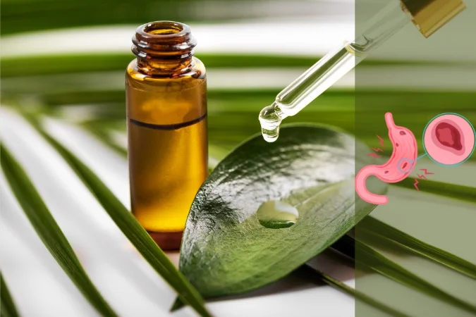 Soigner ulcère estomac huile essentielle : conseils pour un traitement naturel