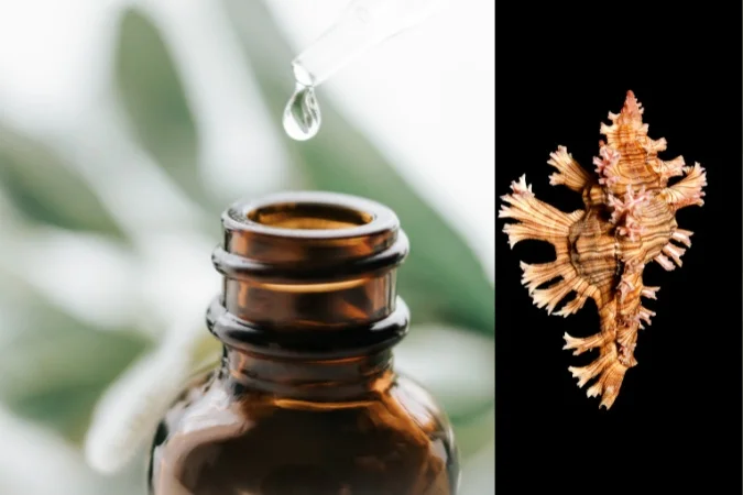 huile essentielle palmarosa